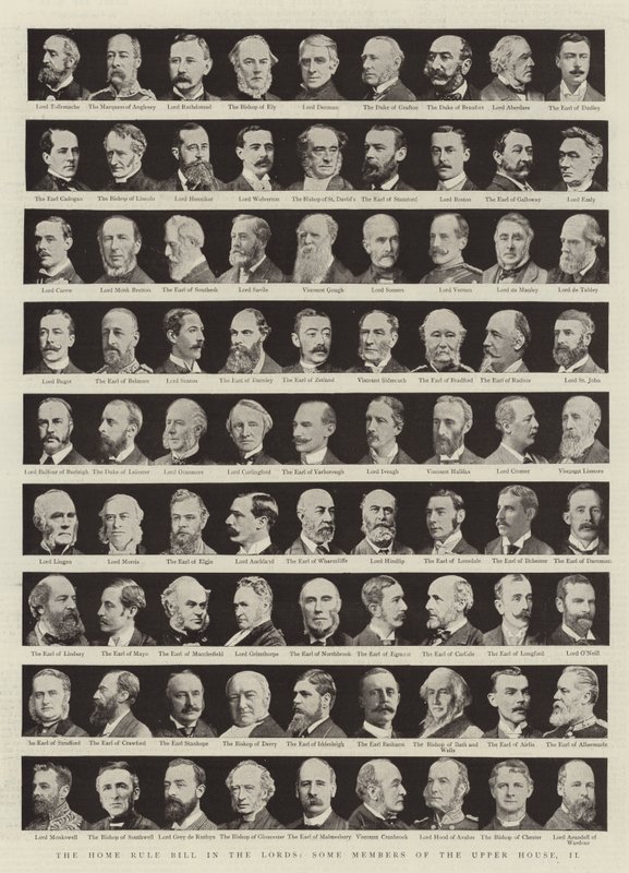 Das Home Rule Gesetz im Oberhaus, einige Mitglieder des Oberhauses, II von English Photographer