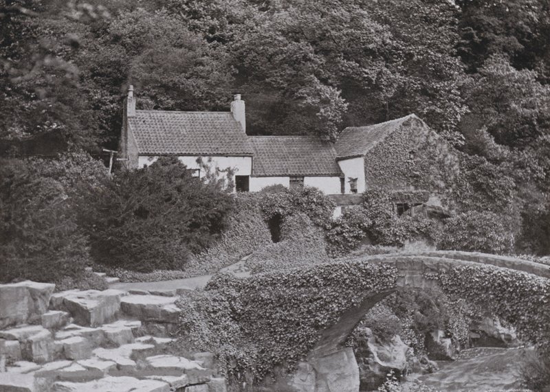 Die alte Mühle, Jesmond Dene von English Photographer
