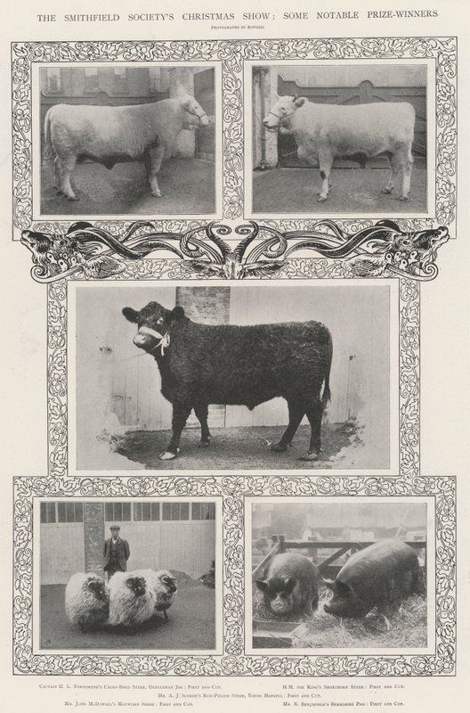 Die Weihnachtsschau der Smithfield Society, einige bemerkenswerte Preisträger von English Photographer