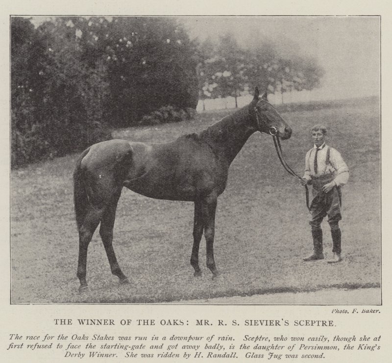 Der Gewinner der Oaks, Mr. R. S. Sieviers Sceptre von English Photographer