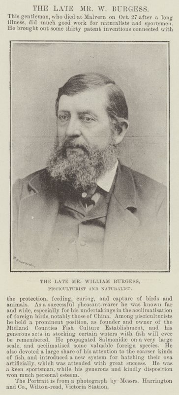 Der verstorbene Mr. William Burgess, Fischzüchter und Naturforscher von English Photographer