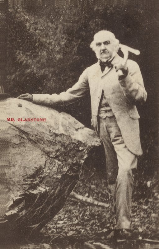 William Ewart Gladstone von English Photographer