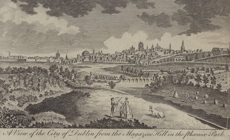 Ein Blick auf die Stadt Dublin vom Magazine Hill im Phoenix Park von English School