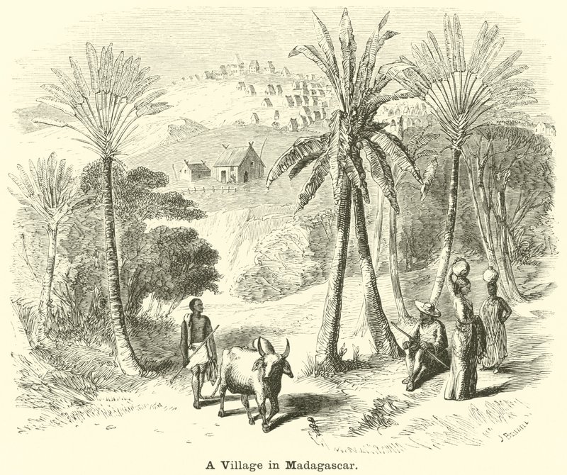 Ein Dorf in Madagaskar von English School