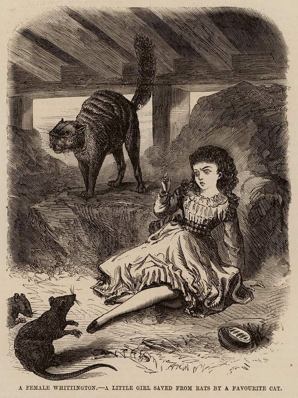 Ein weiblicher Whittington, ein kleines Mädchen, das von einer Lieblingskatze vor Ratten gerettet wurde (Gravur) von English School