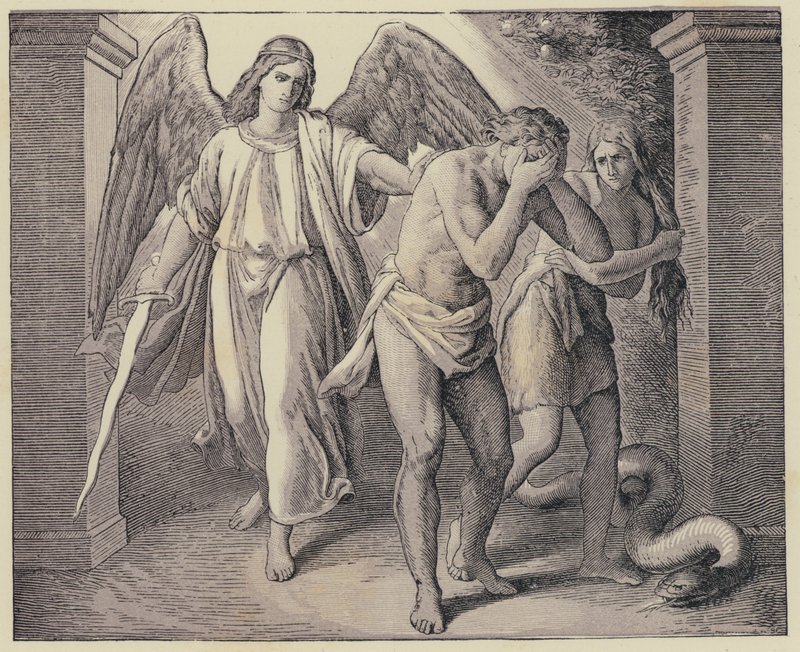 Adam und Eva werden aus dem Garten Eden vertrieben (Gravur) von English School