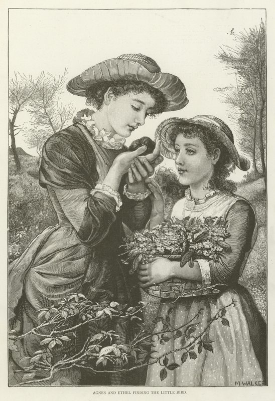 Agnes und Ethel finden den kleinen Vogel von English School