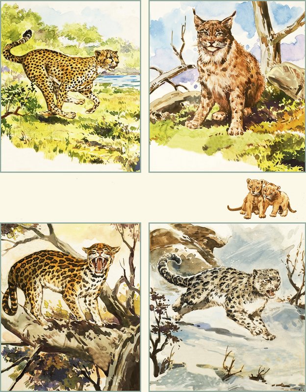 Alle Arten von großen Katzen von English School