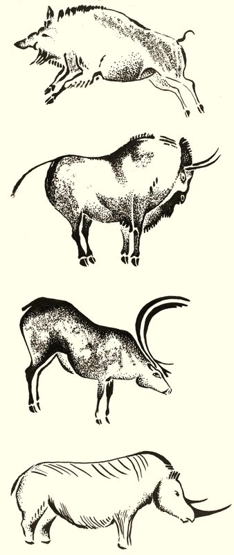 Tiere mit Hörnern Montage von English School