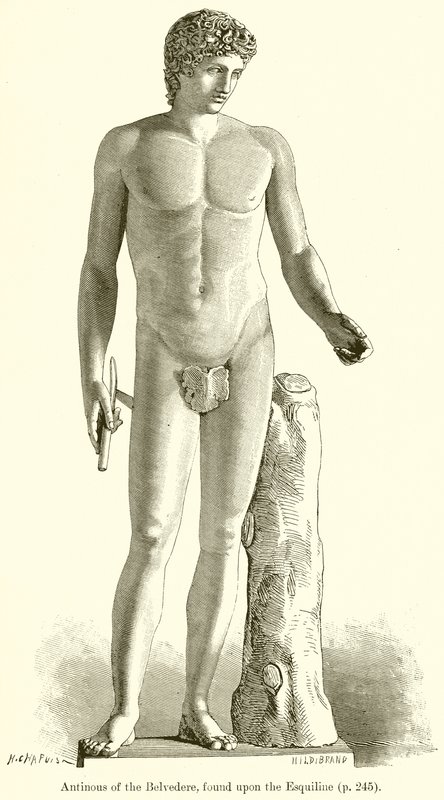 Antinous des Belvedere, gefunden auf dem Esquilin von English School