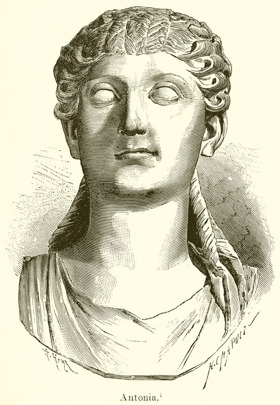 Antonia von English School