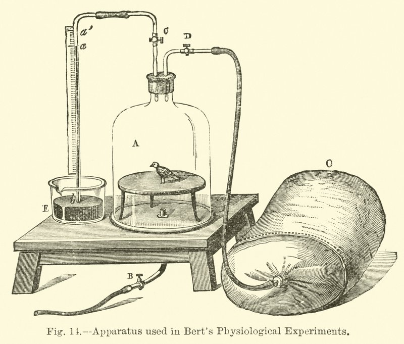Apparatur, die in Berts physiologischen Experimenten verwendet wird von English School