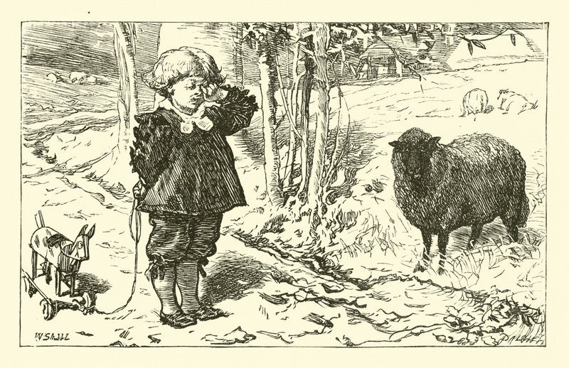 Baa, Baa, Schwarzes Schaf von English School