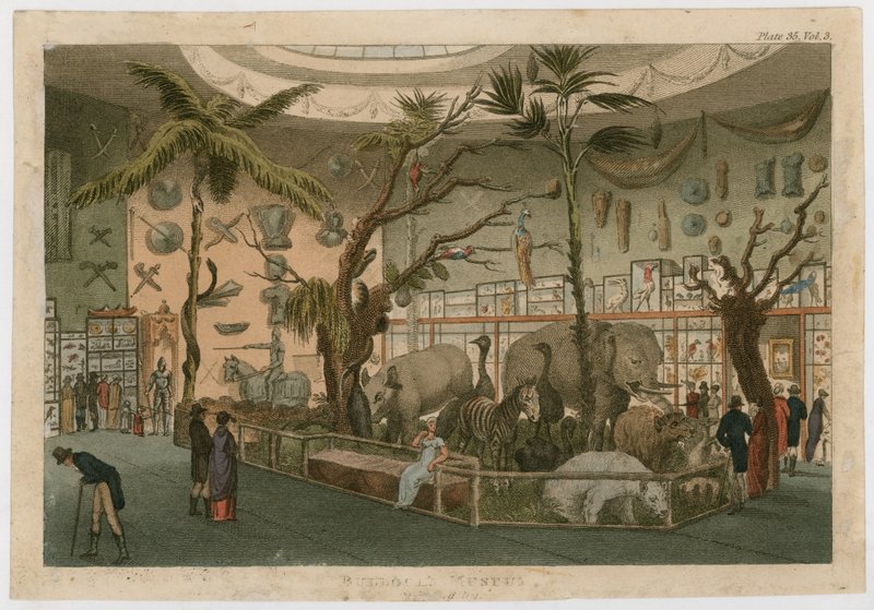 Bullocks Museum von English School