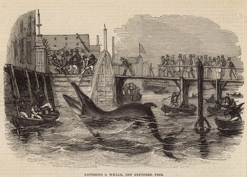 Walfang vor Deptford Pier von English School