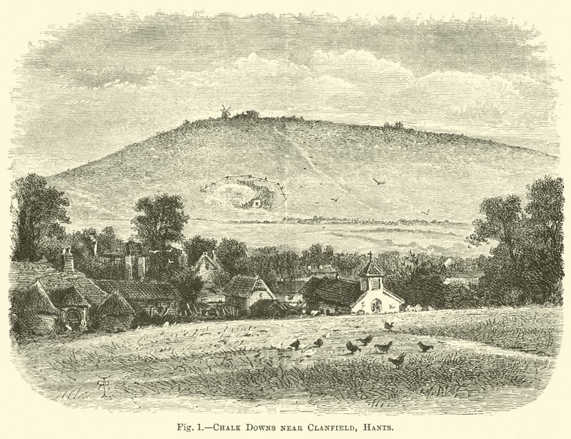 Kreidehügel bei Clanfield, Hants von English School