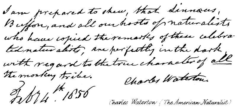 Charles Waterton (Der amerikanische Naturforscher) von English School
