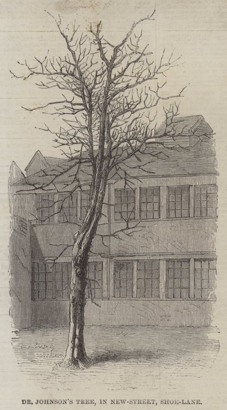 Dr. Johnsons Baum in der New-Street, Shoe-Lane (Stich) von English School