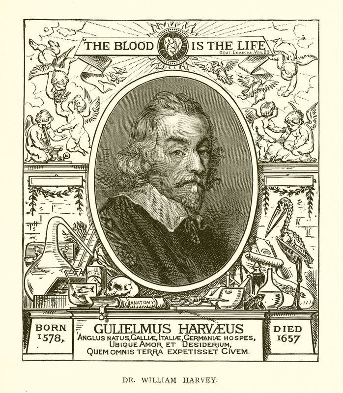 Dr. William Harvey von English School