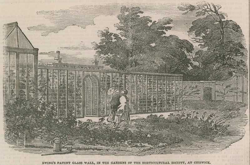 Ewings Patent-Glaswand in den Gärten der Gartenbaugesellschaft in Chiswick von English School