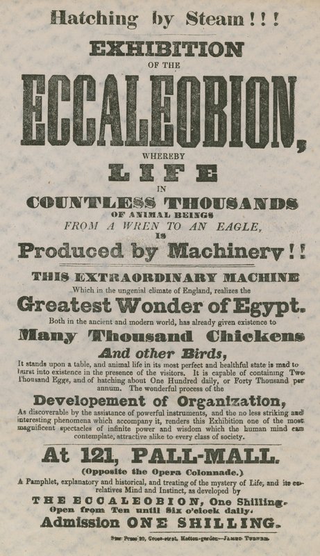 Ausstellung des Eccaleobion von English School