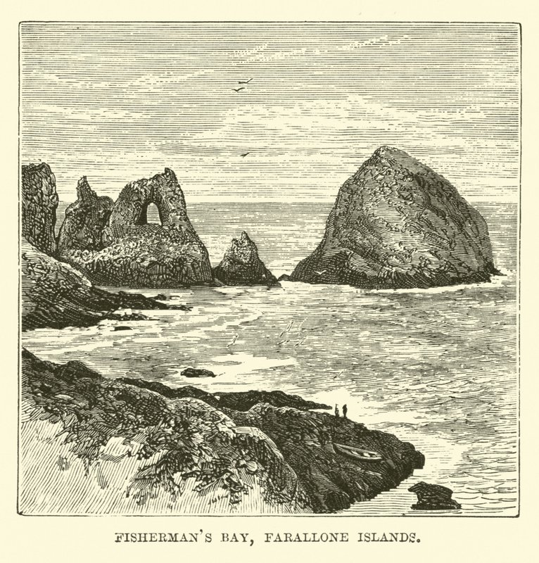 Fischerbucht, Farallone-Inseln von English School