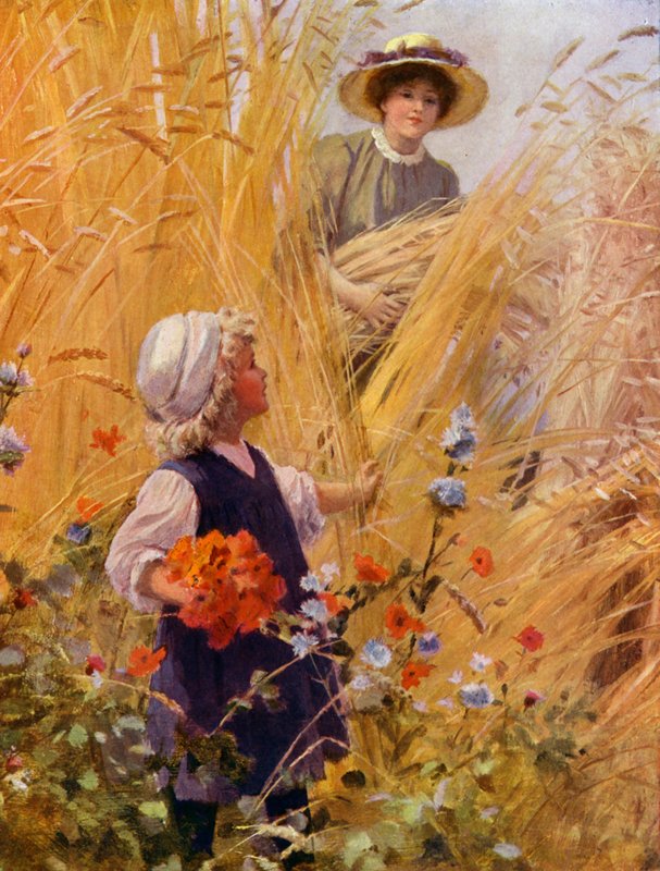 Mädchen pflückt Mohnblumen auf einem Kornfeld, während eine Frau die Ernte einholt von English School