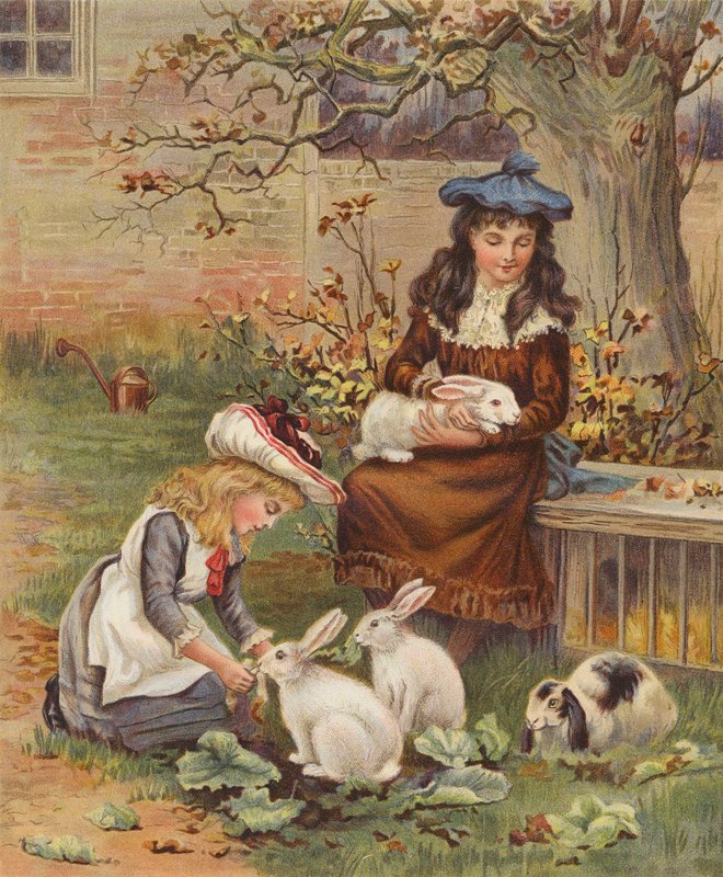 Mädchen kümmern sich um ihre Haustierkaninchen von English School