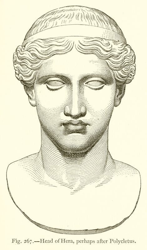 Kopf der Hera, vielleicht nach Polyklet von English School