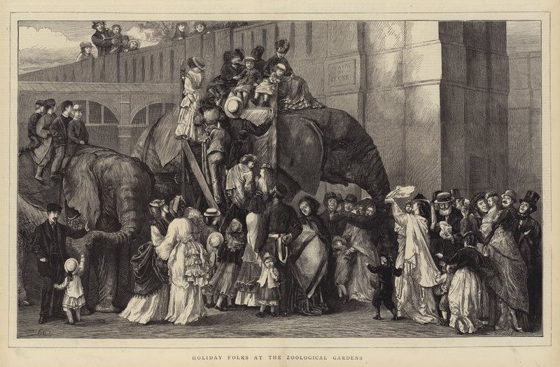 Ferienleute im Zoologischen Garten (Stich) von English School