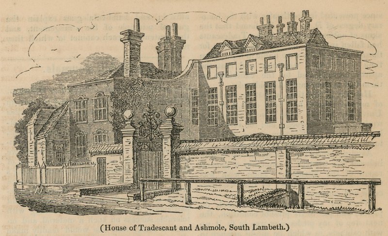 Haus von Tradescant und Ashmole, Süd-Lambeth von English School