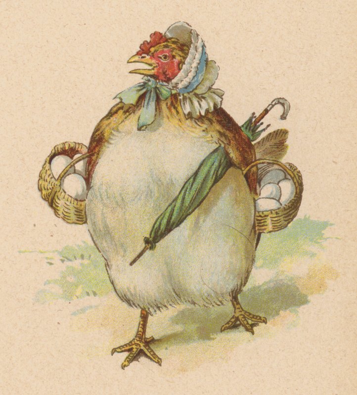 Ich hatte ein kleines Huhn, das schönste, das je gesehen wurde von English School