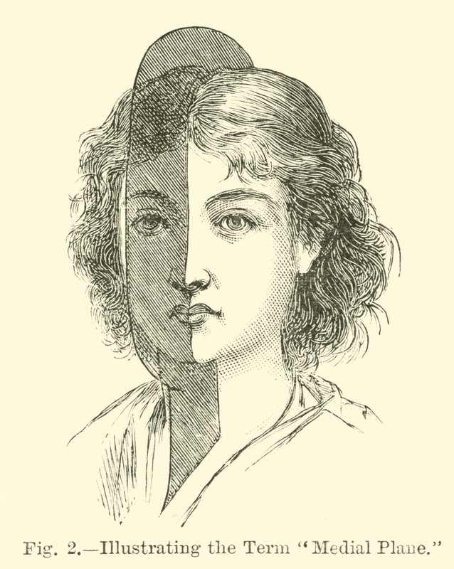 Medialebene illustrieren von English School