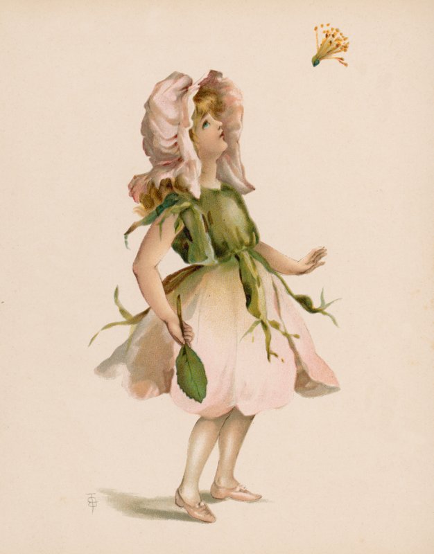 Illustration für Die Sprache der Blumen von English School