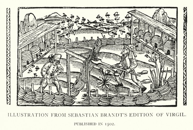 Illustration aus Sebastian Brandts Ausgabe von Vergil, veröffentlicht 1502 (Lithografie) von English School