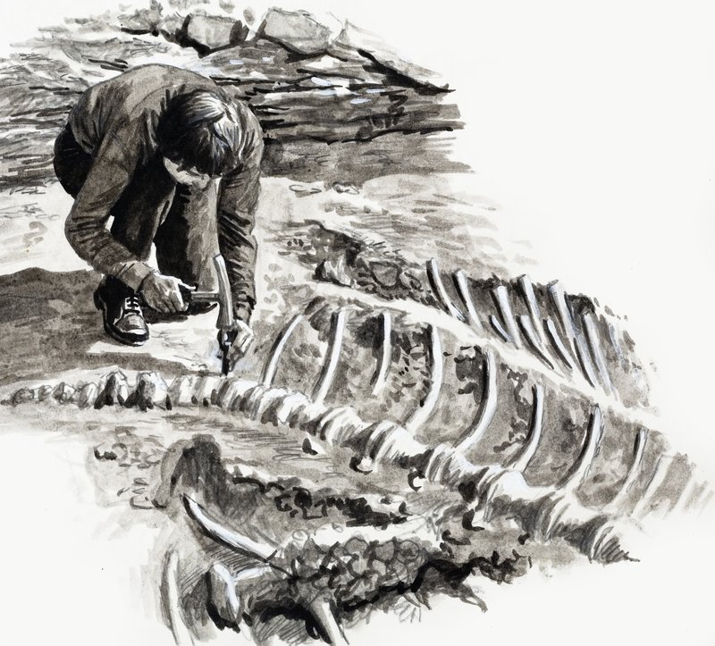 In den Tagen der Dinosaurier: Kampf der Giganten von English School