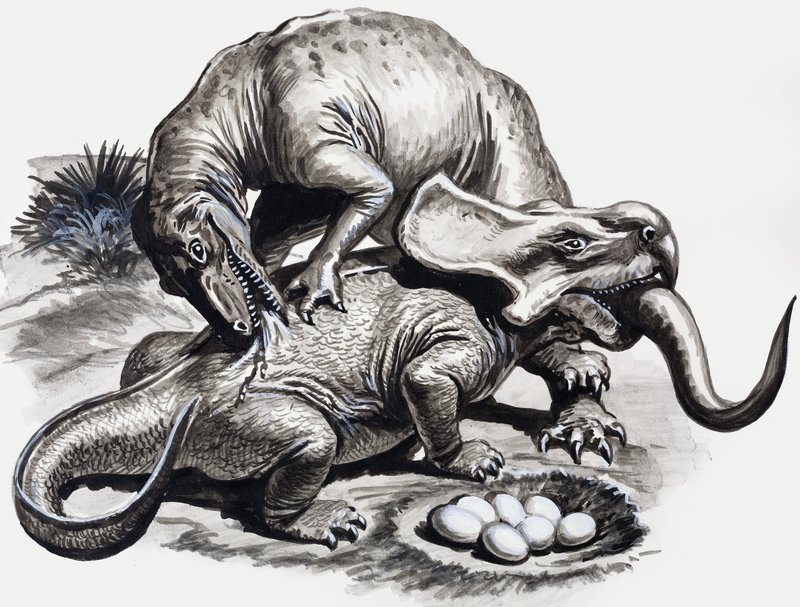 In den Tagen der Dinosaurier: Entdeckung in der Wüste von English School