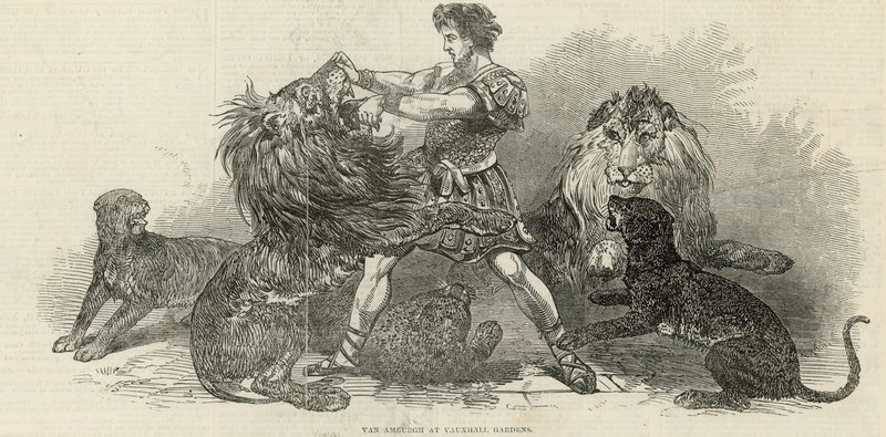 Isaac van Amburgh in den Vauxhall Gardens von English School