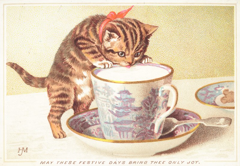 Kätzchen trinkt aus Teetasse, Weihnachtskarte von English School