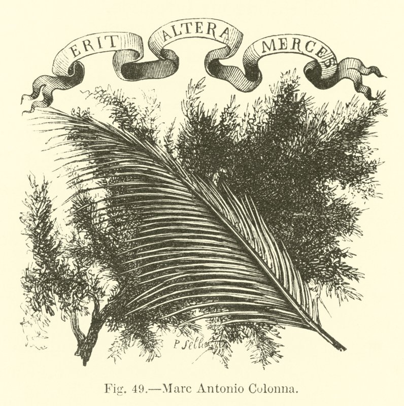 Marc Antonio Colonna von English School