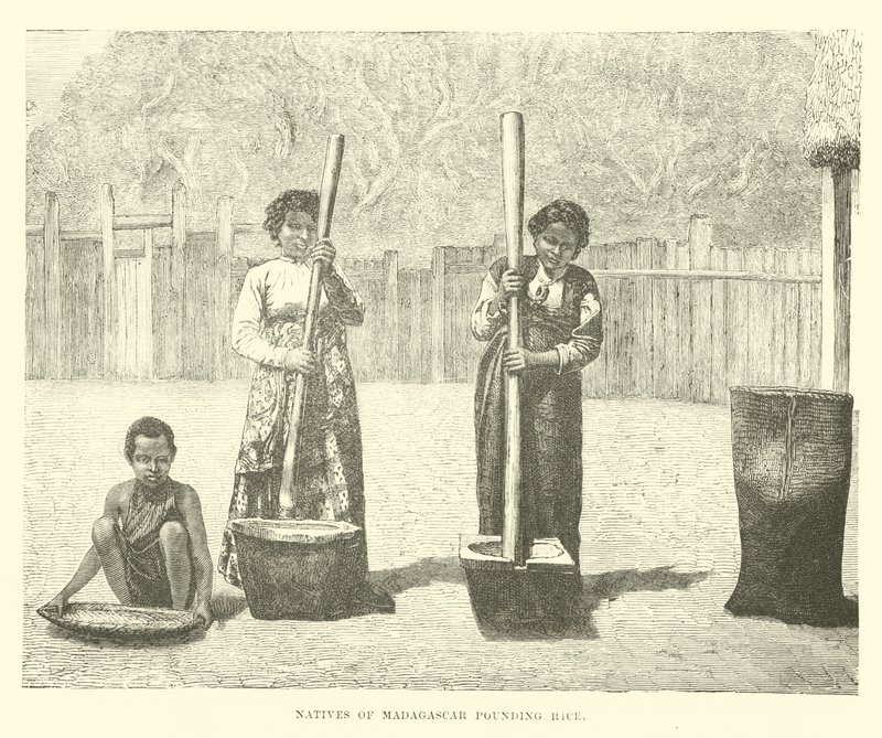 Einheimische von Madagaskar stampfen Reis von English School