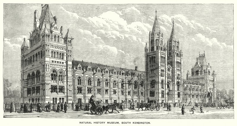 Naturhistorisches Museum, South Kensington von English School