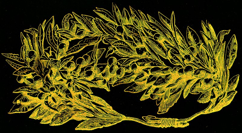 Olivenkranz in Gold, Illustration aus Geschichte Roms von Victor Duruy, veröffentlicht 1884 von English School