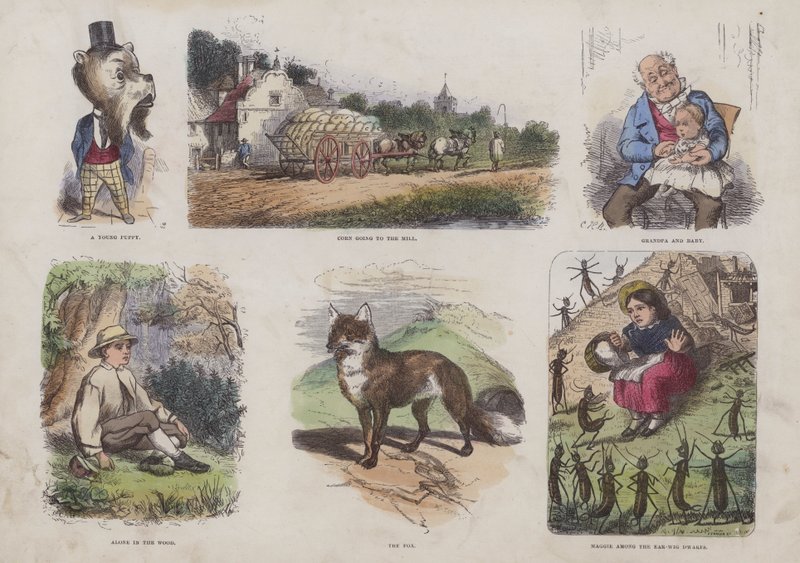 Seite aus dem attraktiven Bilderbuch (farbige Gravur) von English School