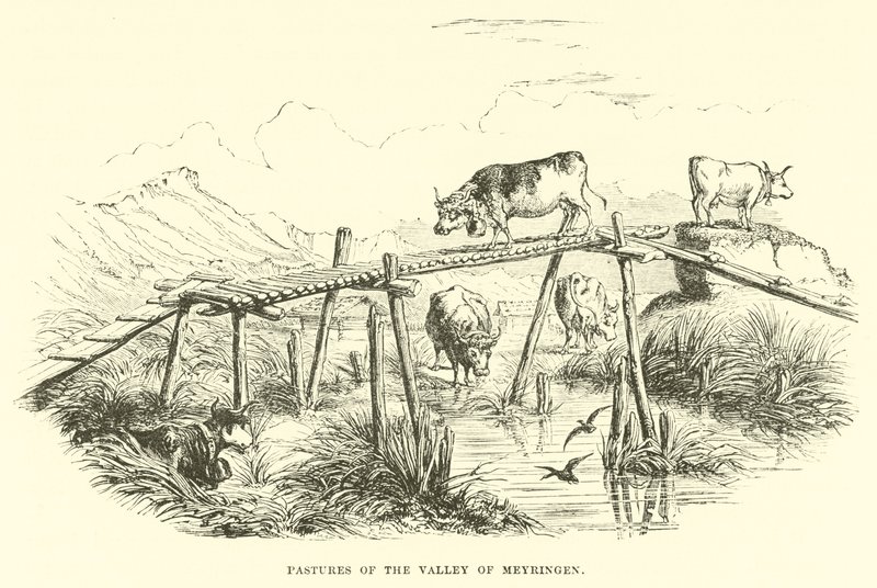 Weiden des Tals von Meyringen von English School