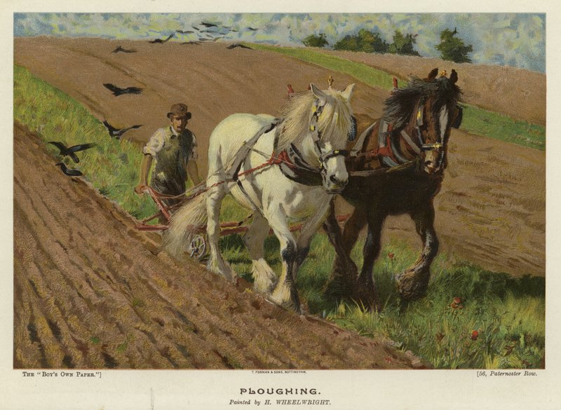 Pflügen von H. Wheelwright von English School