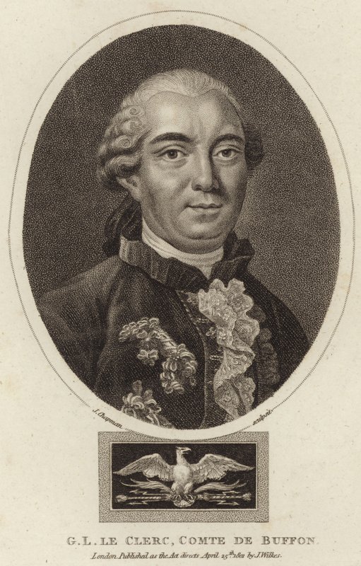 Porträt von Georges-Louis Leclerc, Comte de Buffon von English School