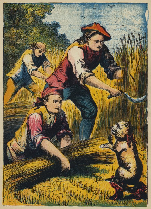 Die Katze bedroht die Schnitter von English School