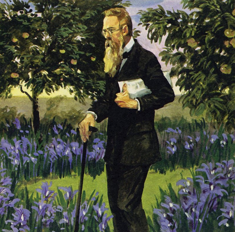 Rimsky-Korsakov erlitt einen Herzinfarkt, erholte sich aber genug, um in seinem Garten zu spazieren von English School