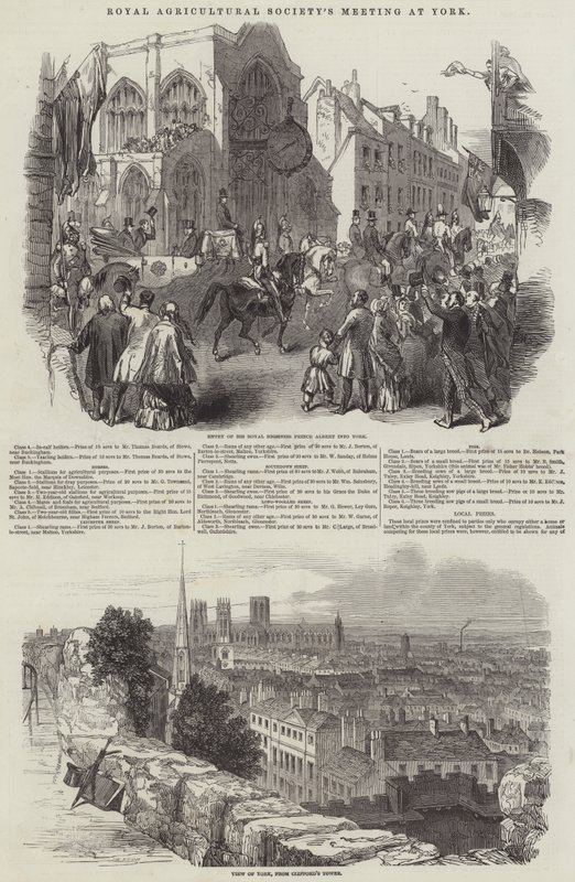 Treffen der Royal Agricultural Society in York (Stich) von English School